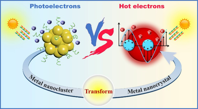 Modulating Charge Migration in Photoredox Organic Transformation via Exquisite Interface Engineering. 