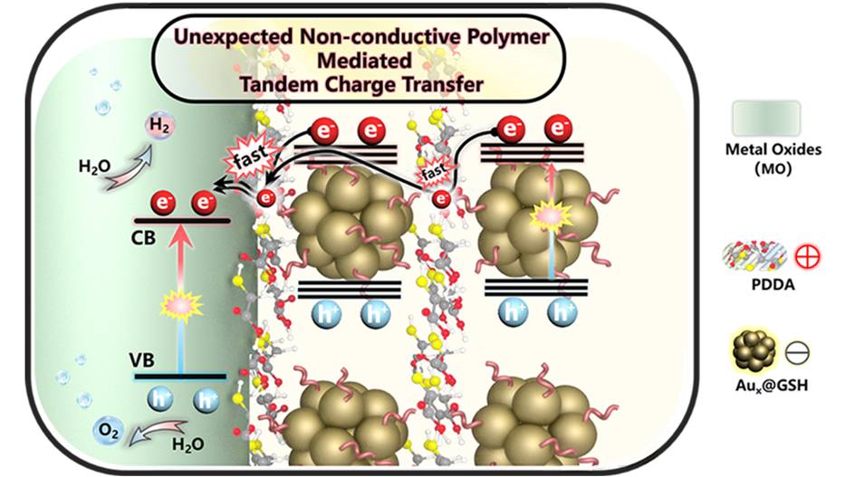 Modulating Charge Migration in Photoredox Organic Transformation via Exquisite Interface Engineering. 